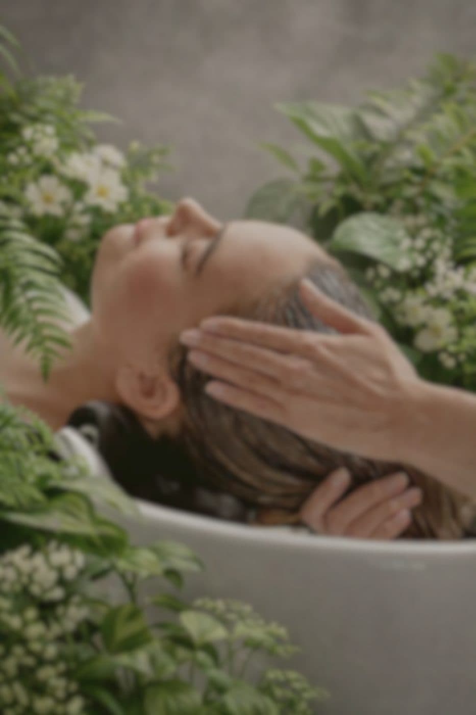 Ritual SPA capilar en Alma Rizo
